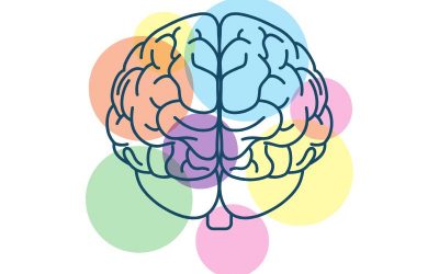 El desarrollo de la Teoría de la Mente. Por qué es clave comprender lo que sienten los demás